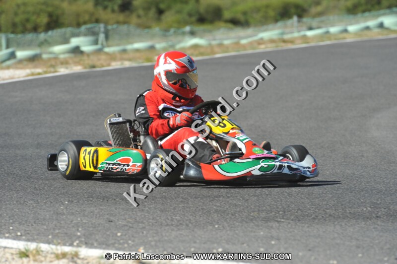 DSC (2754).JPG